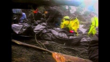 AMERICAN 965 Trailer