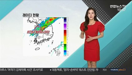 [날씨톡톡] 충청 이남 중심 요란한 비…벼락·우박 주의