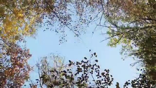 San Carlo Borromeo - Giornale di viaggio. Milano 1565-1584 (Trailer HD)