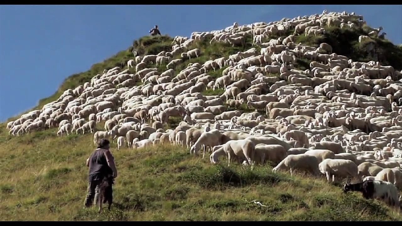 L'ultimo pastore (Trailer HD)