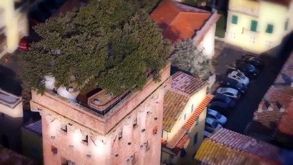 Sarebbe stato facile (Trailer HD)