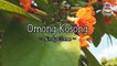 Nindy Ellesse - Omong Kosong (Official Lyric Video)