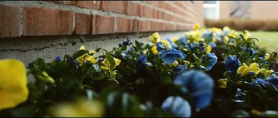 Il centenario che saltò dalla finestra e scomparve (Trailer HD)