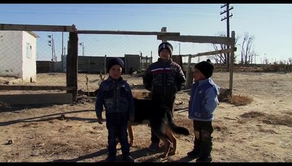 I sogni del lago salato (Trailer HD)