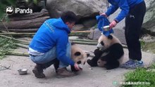我还没喝够呢