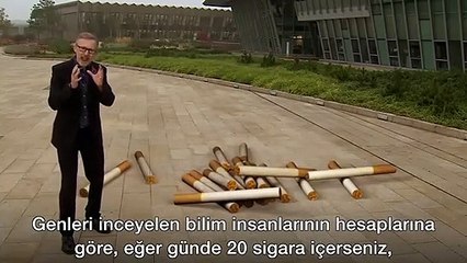 Bir paket sigara vücudumuza neler yapıyor?