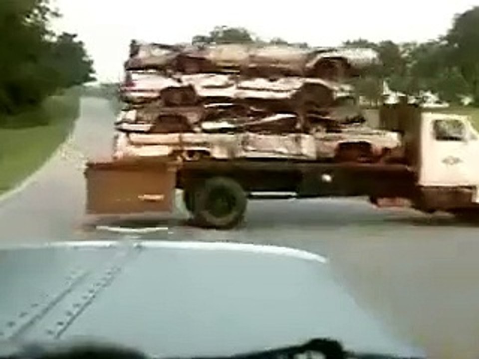 Black Dog (Trailer HD) Video Dailymotion