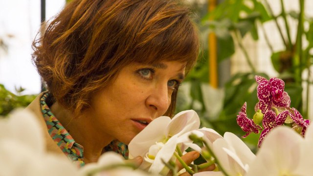 Il colore nascosto delle cose (Trailer HD)