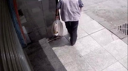 Eyüpsultan ve Esenyurt'ta ekmek hırsızlığı kamerada