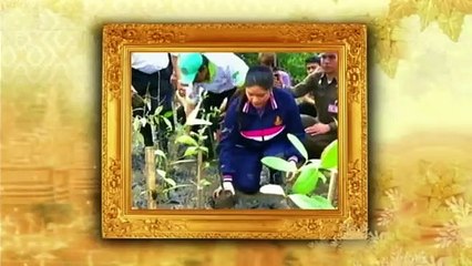 ข่าวในพระราชสำนัก วันอาทิตย์ที่ 29 พฤษภาคม 2559 (ช่อง 9)