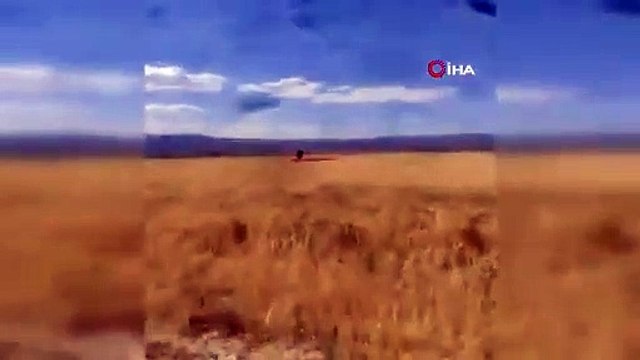 Ekili tarlaya inen Kanadalı paraşütçü ile çiftçinin diyaloğu güldürdü