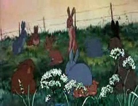 La collina dei conigli (Trailer HD)