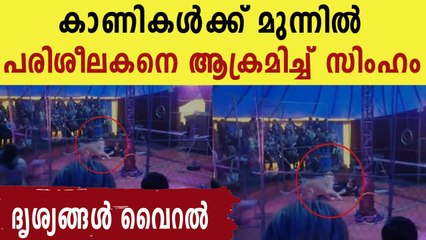 lion tamer is attacked by lioness at Russian circus
