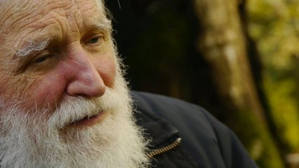 Voci dal silenzio (Trailer HD)