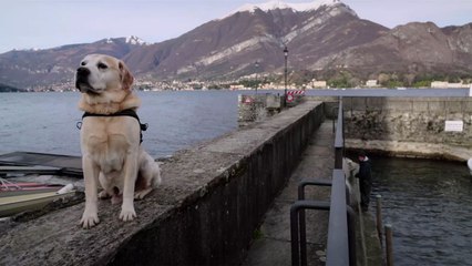 I Migliori Amici dell'Uomo (Trailer HD)