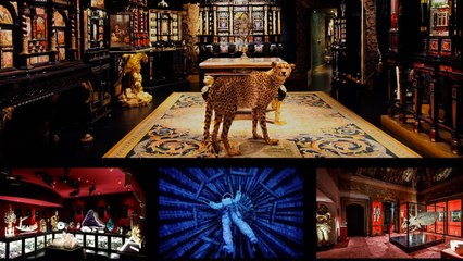 Wunderkammer - Le Stanze della Meraviglia (Trailer HD)