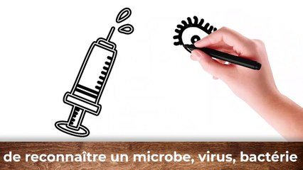 Zoom sur les vaccins autorisés en France