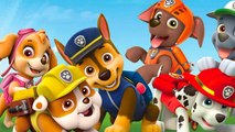 Paw Patrol Mighty Pups - Il film dei super cuccioli (Trailer HD)