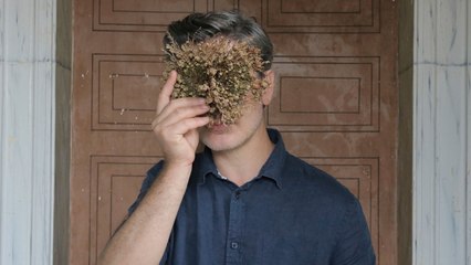 Dentro di te c'è la terra (Trailer HD)