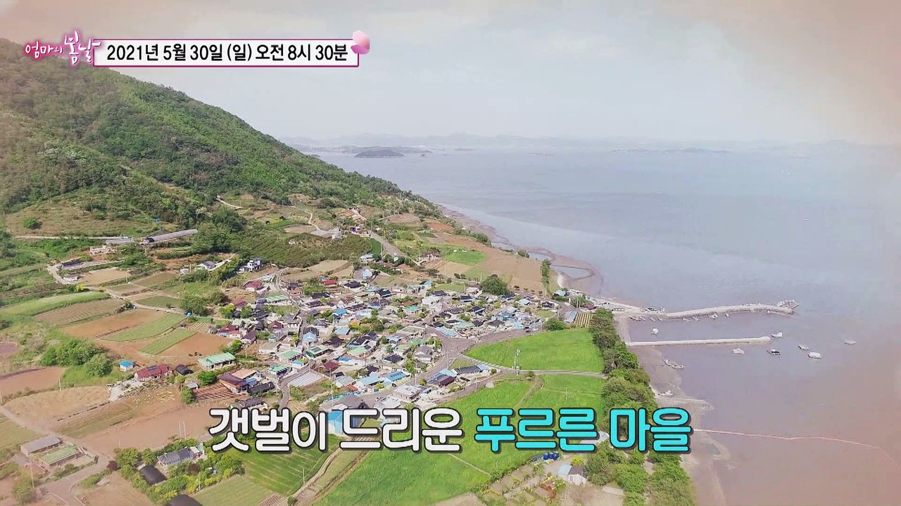 엄마의 바다_엄마의 봄날 298회 예고 TV CHOSUN 210530 방송