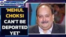 Siddharth Pithani arrested in drugs case | Mehul Choksi deportation | Oneindia News