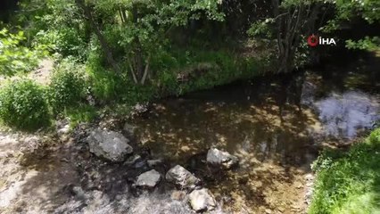 Doğa harikası Istrancalar'da görsel şölen