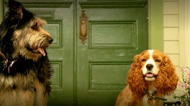 Lilli e il Vagabondo (Trailer HD)