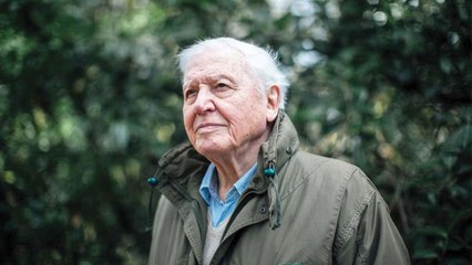 David Attenborough: Una vita sul nostro pianeta (Trailer HD)