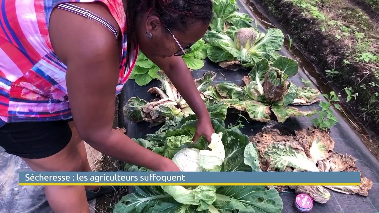 Le Grand J.T. des Territoires du 29 mai 2021