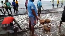 It’s a beach full of fishes today at Digha, as an aftermath of Cyclone Yaas.