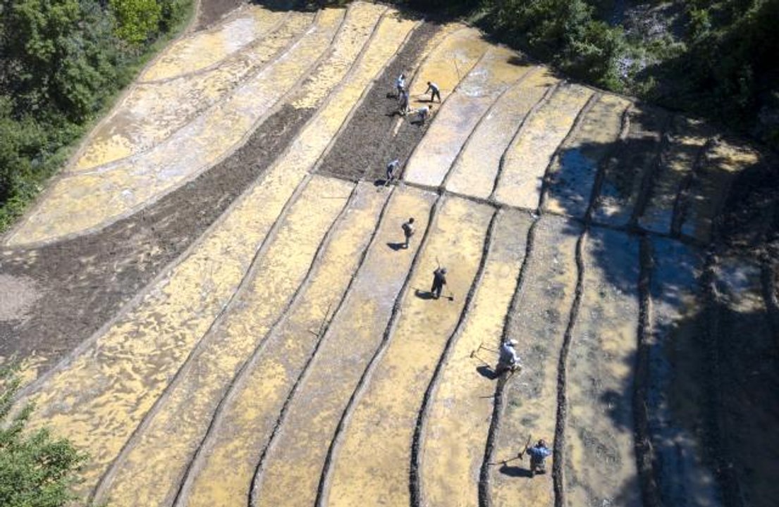 Dağ köylerinde zorlu çeltik ekimi