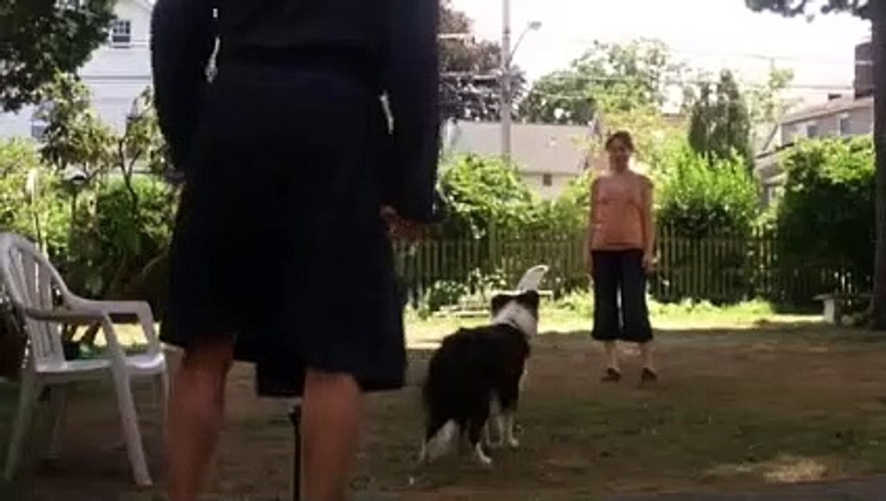 A Dog Year (Trailer HD)