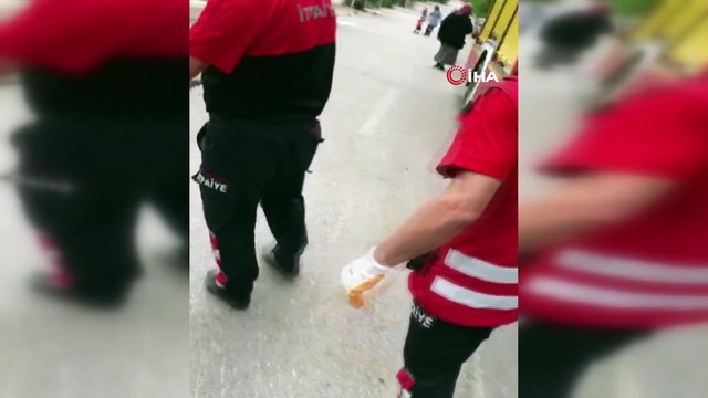 Evin bahçesinden çıkarılan 1,5 metrelik yılan doğaya salındı