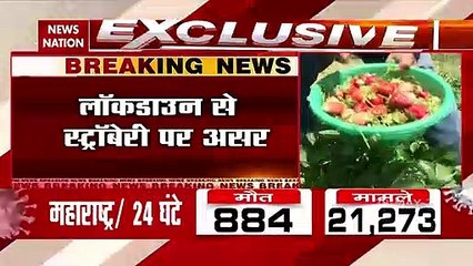 Srinagar: Strawberry crop heavily damaged due to lockdown