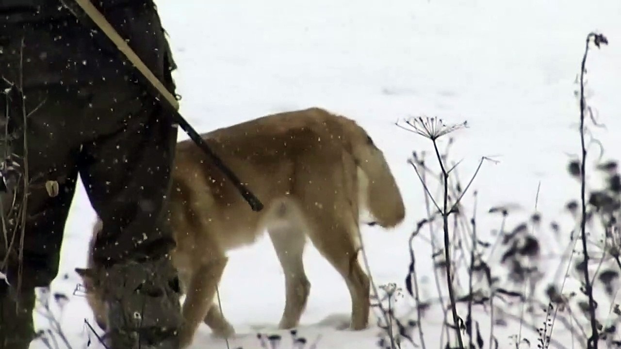 Happy People: A Year in the Taiga (Trailer HD)