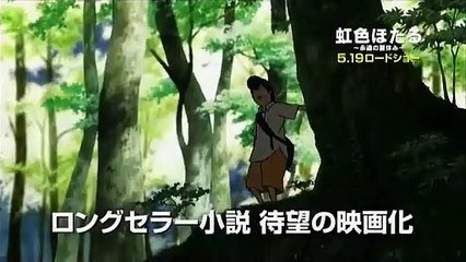 Rainbow Fireflies (Trailer HD)