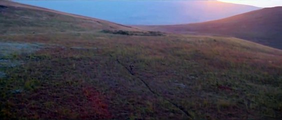 Mandela: Long Walk To Freedom (Trailer HD)