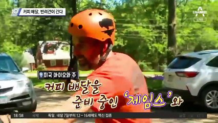커피 배달, 반려견이 간다