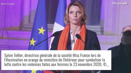 Sylvie Tellier : Ce jour où elle a "pris une claque" à la fin de son couple