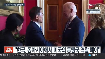 앤디 김 "쿼드가 목적 아냐…의무 가입 필요없어"