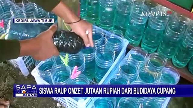 Beromzet Jutaan Rupiah Tiap Bulan, 2 Siswa Asal Kediri Sukses Usaha Budidaya Ikan Cupang