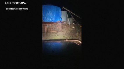 فيديو: جحافل الفئران تجتاح مناطق أسترالية والدولة تلجأ إلى السم الممنوع