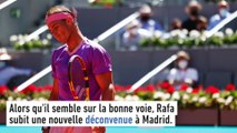 Nadal peut-il être inquiété ? - Tennis - Roland-Garros