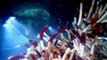 James Cameron's Deepsea Challenge 3D (Trailer HD)