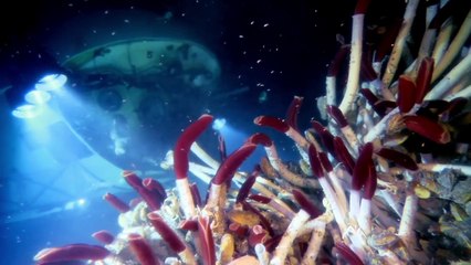 James Cameron's Deepsea Challenge 3D (Trailer HD)