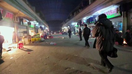 Racing Extinction (Trailer HD)