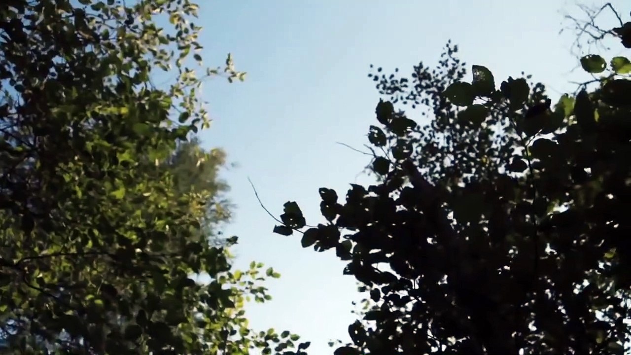 Sleeping Giant (Trailer HD)