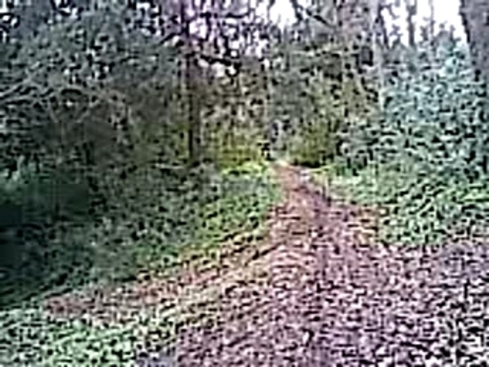 27022008