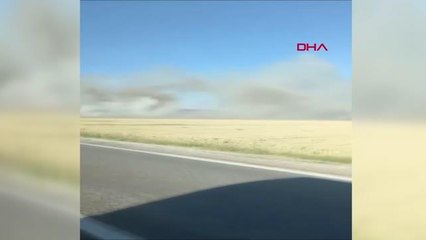 Son dakika: 40 DÖNÜM EKİLİ BUĞDAY YANGINDA KÜLE DÖNDÜ