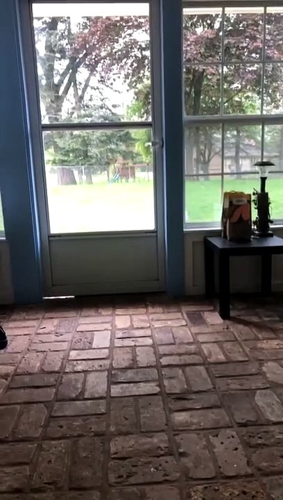 Doggy Lets Himself Into the House
